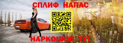 гидра Краснознаменск