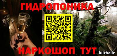 гидра Краснознаменск