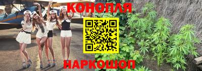гидра Краснознаменск