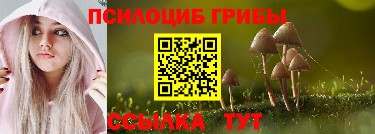 Псилоцибиновые грибы MAGIC MUSHROOMS  Псилоцибиновые грибы Magic Shrooms  Строитель  где продают   Вход с VPN 
