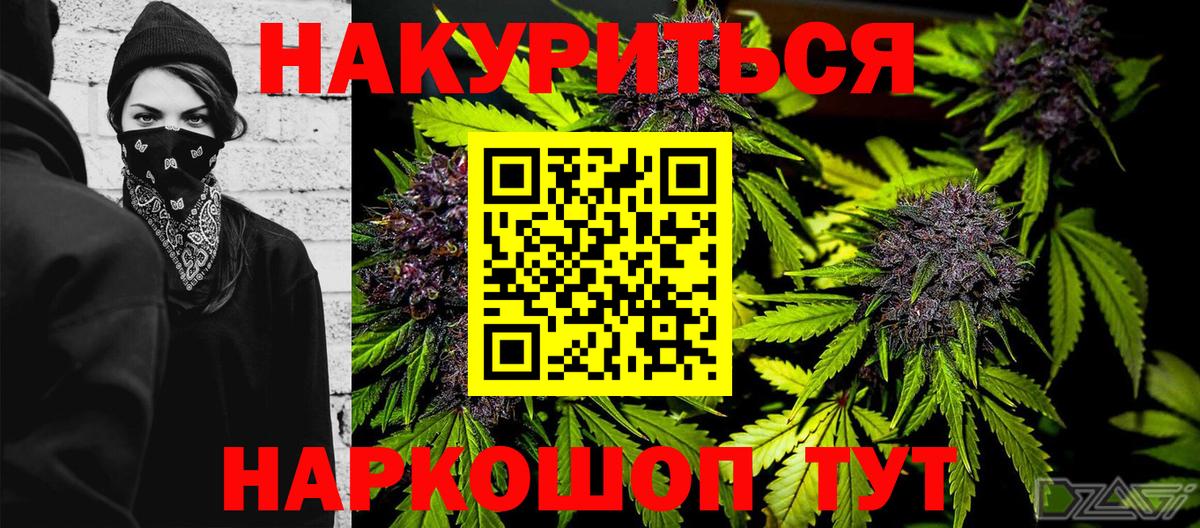 Строитель  Бошки марихуана сатива  Бошки Шишки план  Вход с VPN  Конопля гибрид 